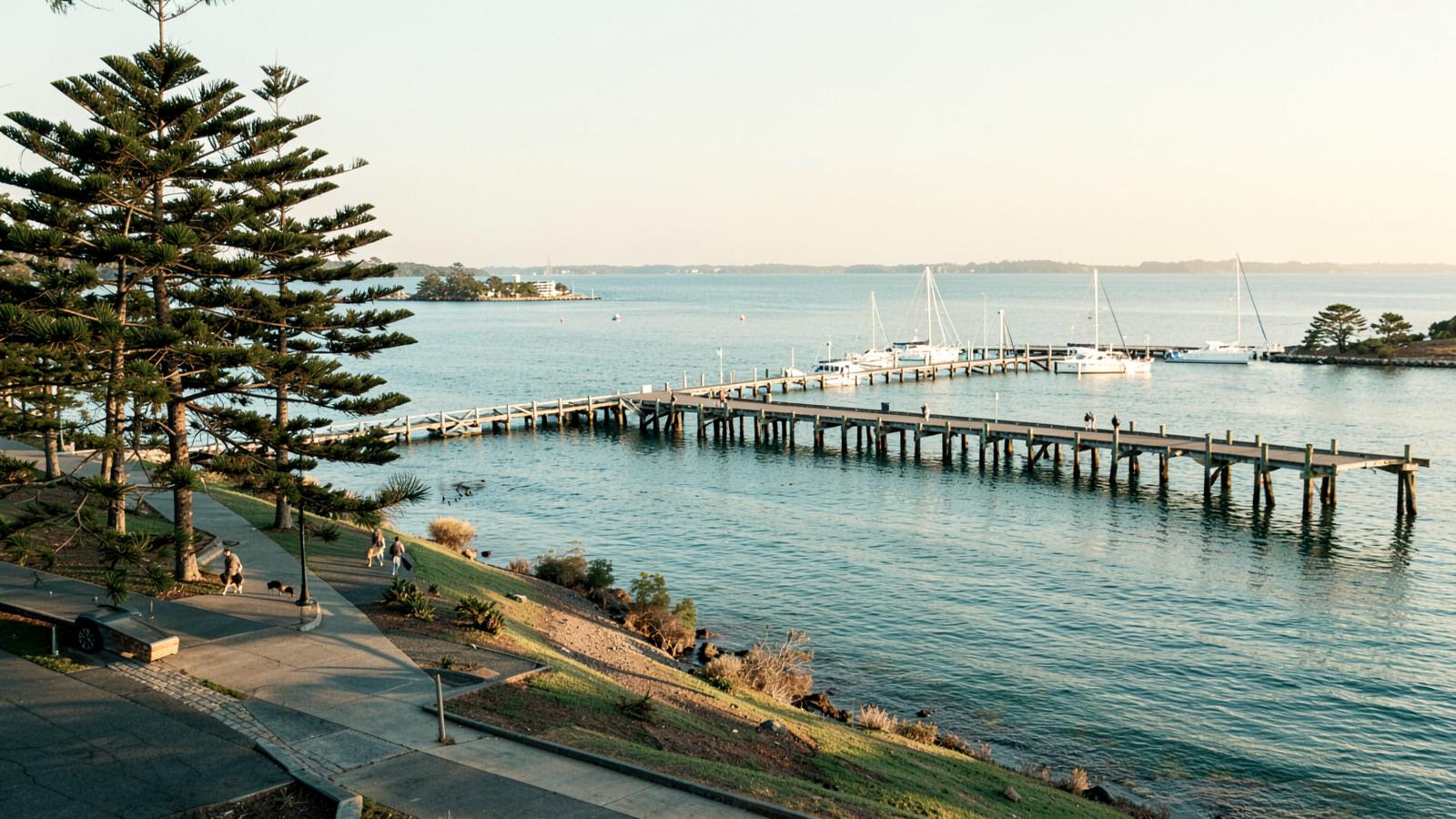 A wooden jetty and palms on a calm Moreton Bay morning on Brisbane's bayside